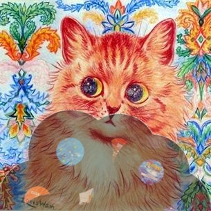 krautcat | musique icon